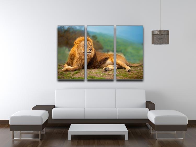 Lion male having a rest 3 Split Panel Canvas Print - Canvas Art Rocks - 3