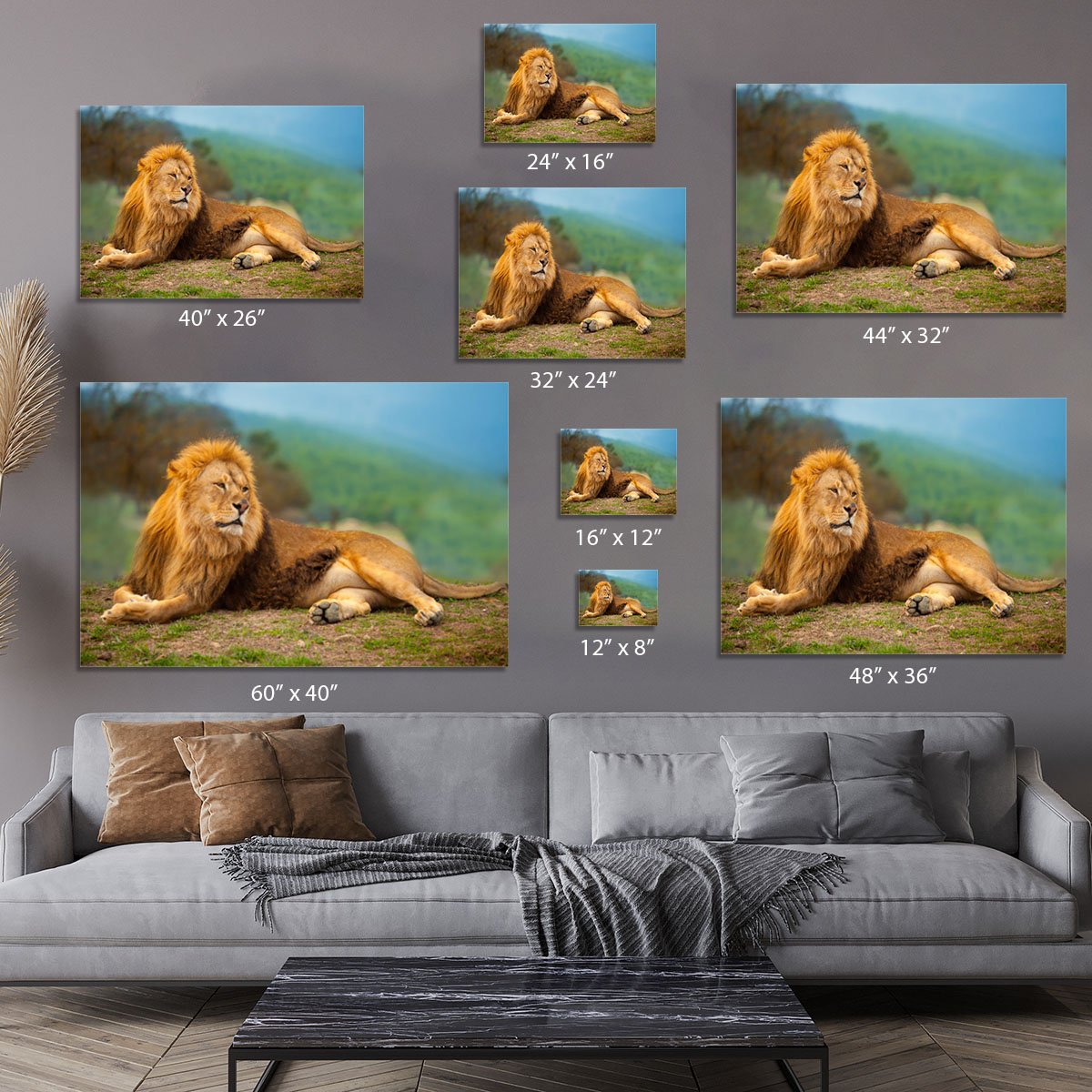 Lion male having a rest Canvas Print or Poster