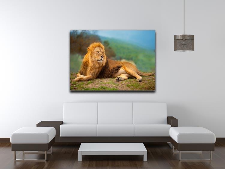 Lion male having a rest Canvas Print or Poster - Canvas Art Rocks - 4