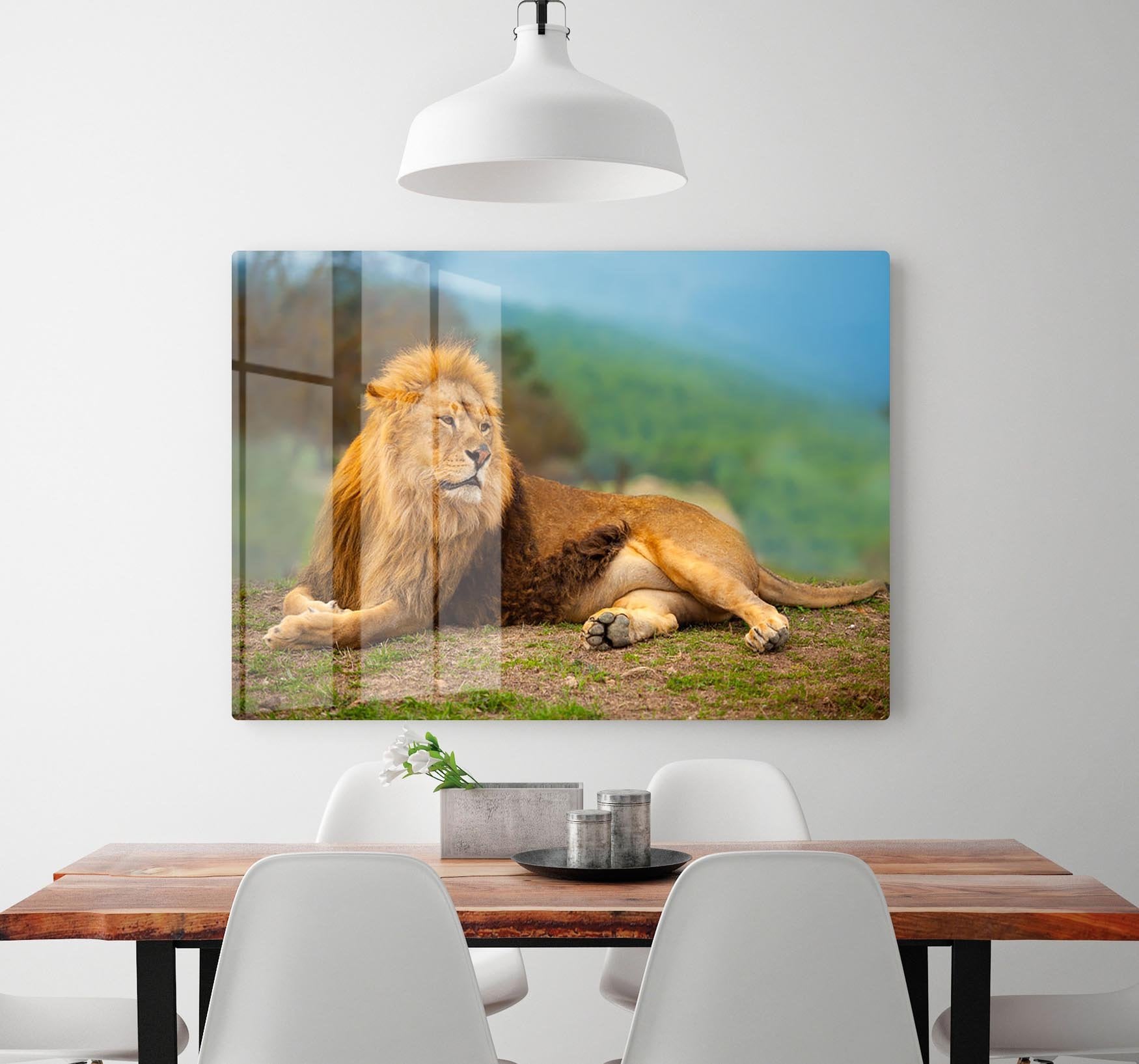 Lion male having a rest HD Metal Print - Canvas Art Rocks - 2