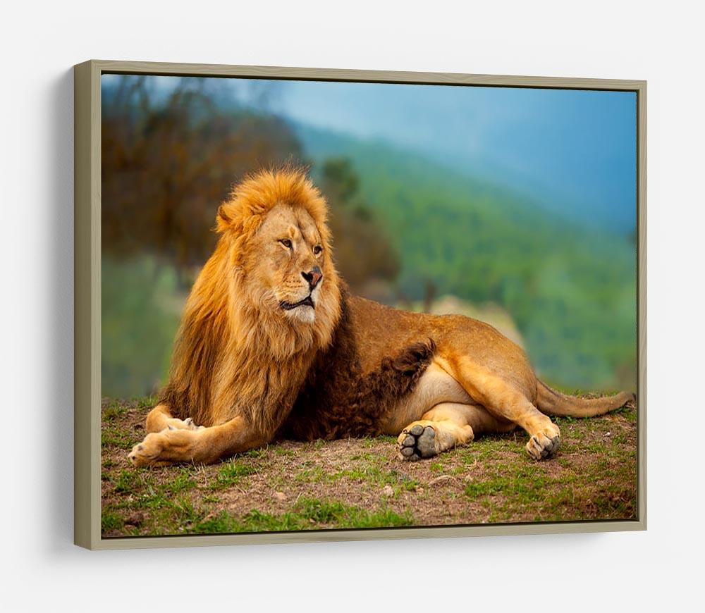Lion male having a rest HD Metal Print - Canvas Art Rocks - 8
