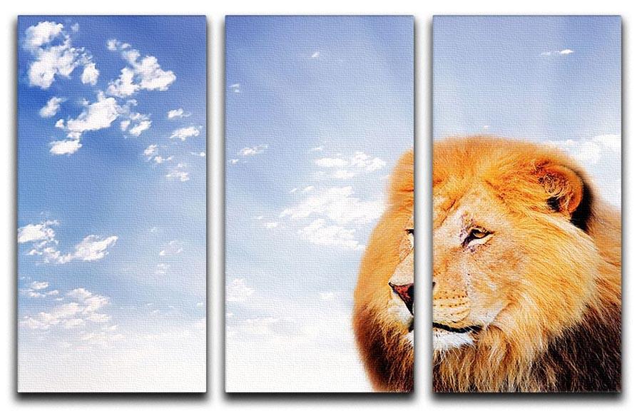 Lion on a sky background 3 Split Panel Canvas Print - Canvas Art Rocks - 1