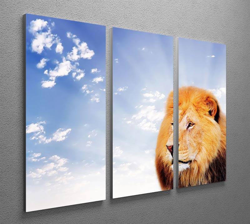Lion on a sky background 3 Split Panel Canvas Print - Canvas Art Rocks - 2