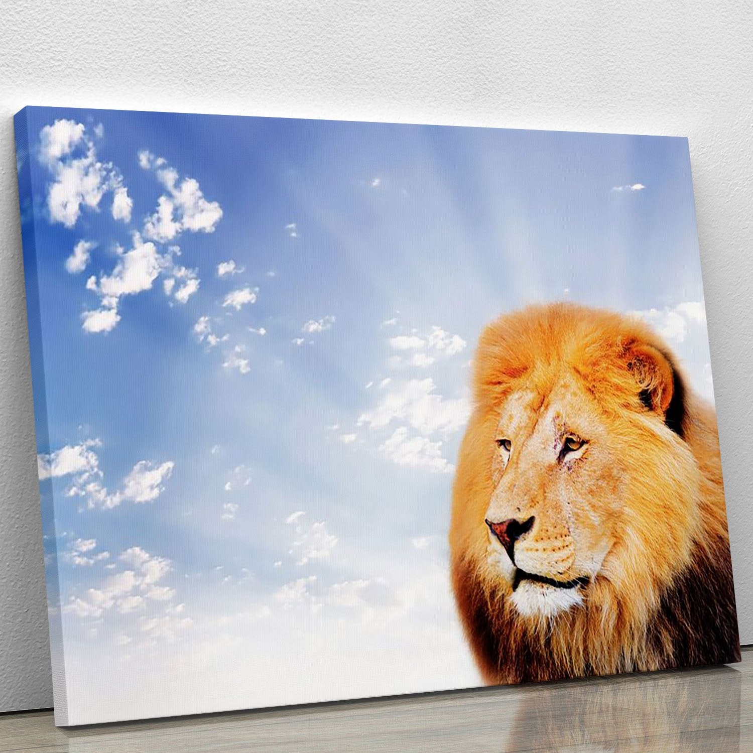 Lion on a sky background Canvas Print or Poster