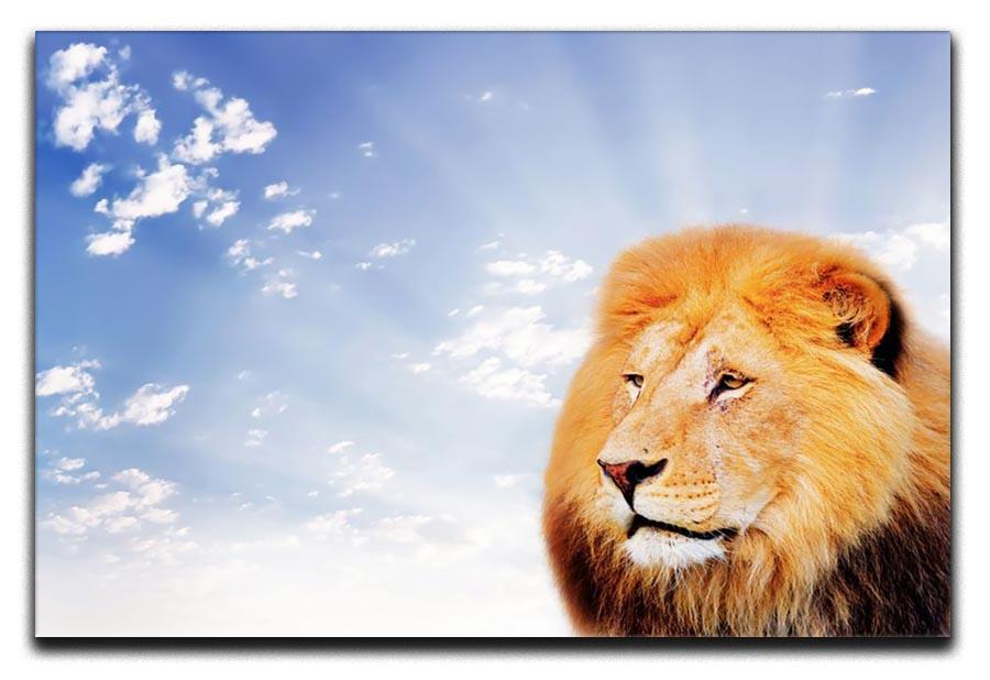Lion on a sky background Canvas Print or Poster - Canvas Art Rocks - 1