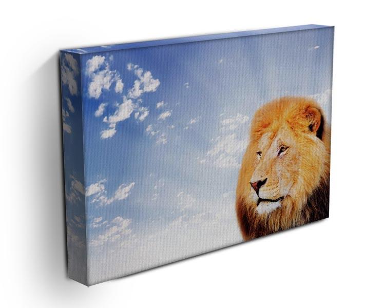 Lion on a sky background Canvas Print or Poster - Canvas Art Rocks - 3