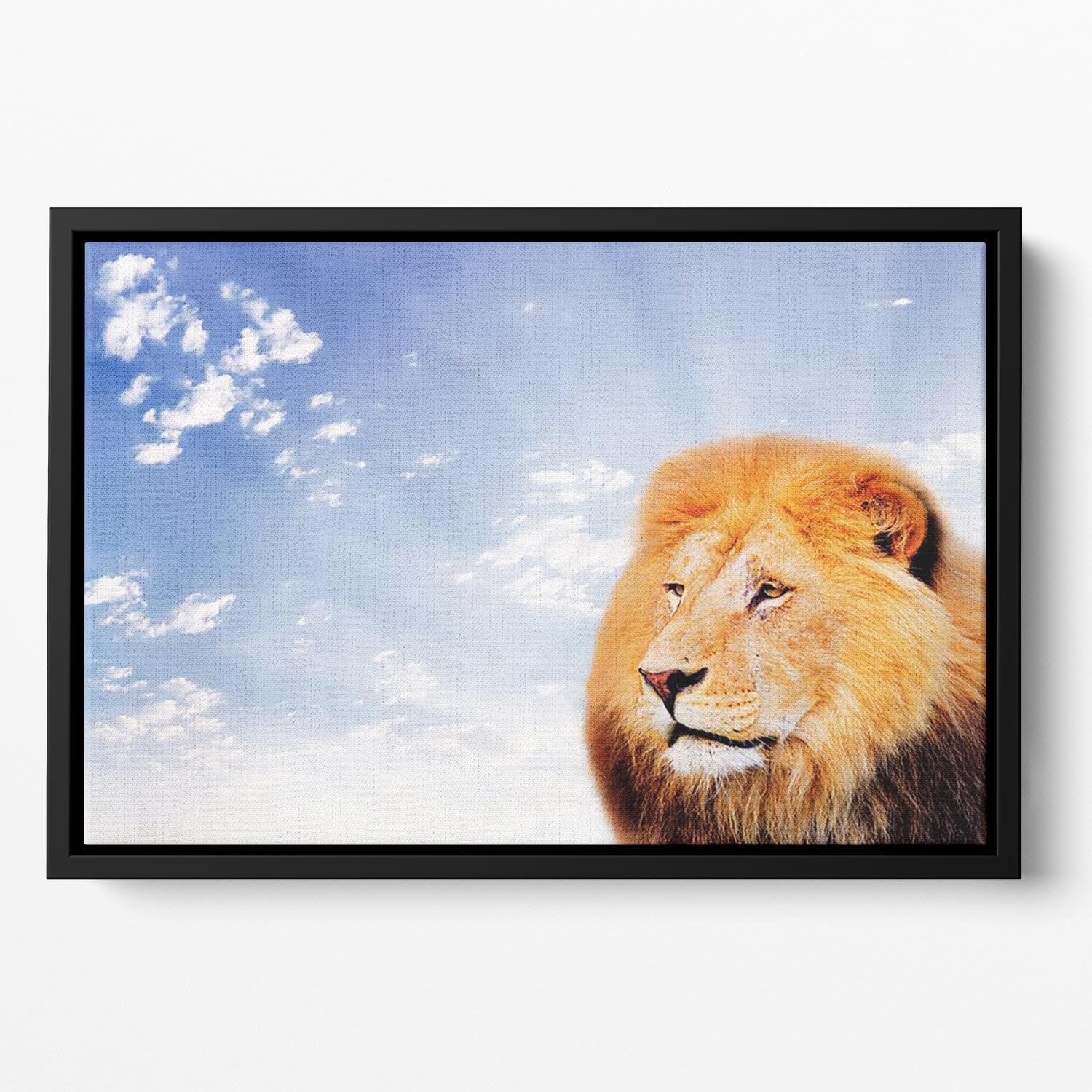 Lion on a sky background Floating Framed Canvas - Canvas Art Rocks - 2
