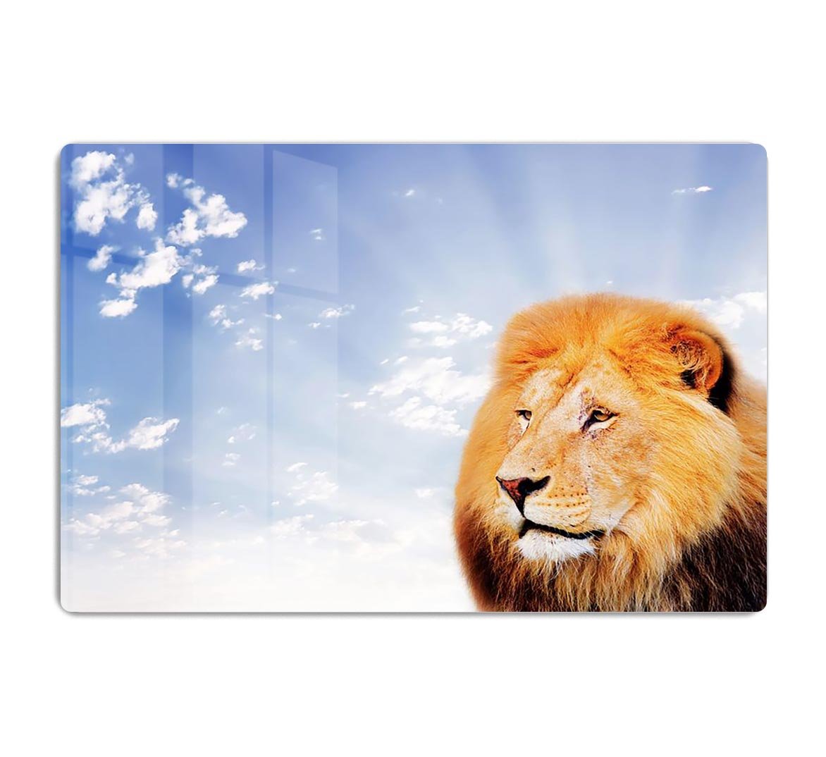 Lion on a sky background HD Metal Print - Canvas Art Rocks - 1