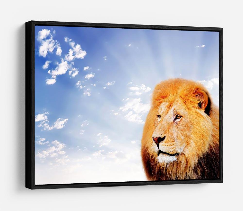 Lion on a sky background HD Metal Print - Canvas Art Rocks - 6
