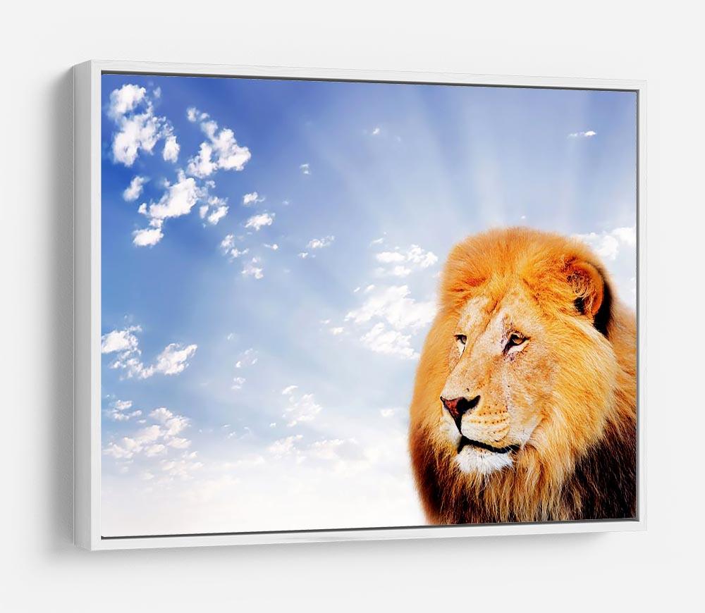 Lion on a sky background HD Metal Print - Canvas Art Rocks - 7