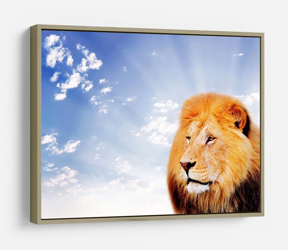 Lion on a sky background HD Metal Print - Canvas Art Rocks - 8