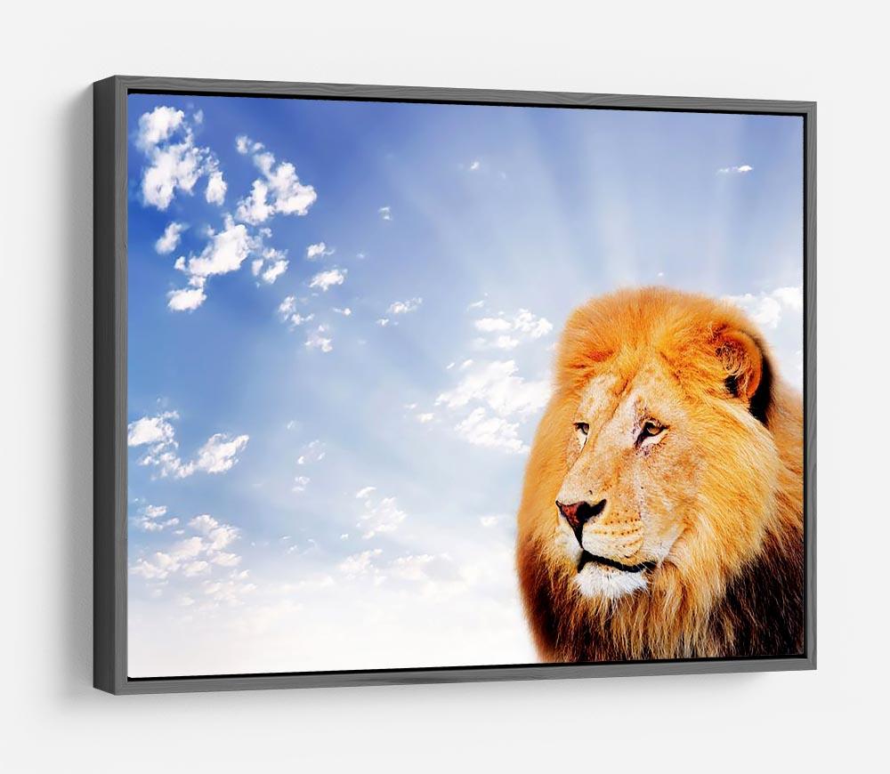 Lion on a sky background HD Metal Print - Canvas Art Rocks - 9