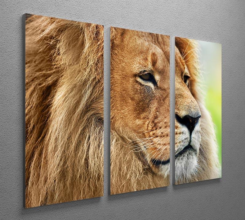 Lion portrait on savanna 3 Split Panel Canvas Print - Canvas Art Rocks - 2