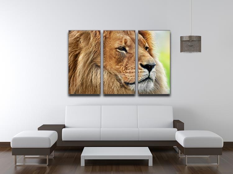 Lion portrait on savanna 3 Split Panel Canvas Print - Canvas Art Rocks - 3