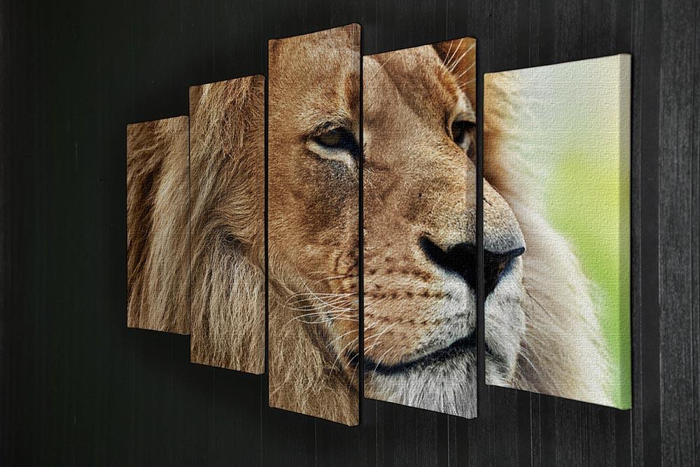 Lion portrait on savanna 5 Split Panel Canvas - Canvas Art Rocks - 2