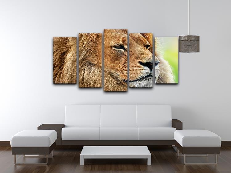 Lion portrait on savanna 5 Split Panel Canvas - Canvas Art Rocks - 3