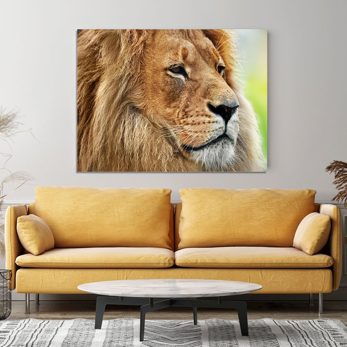 Lion portrait on savanna Canvas Print or Poster