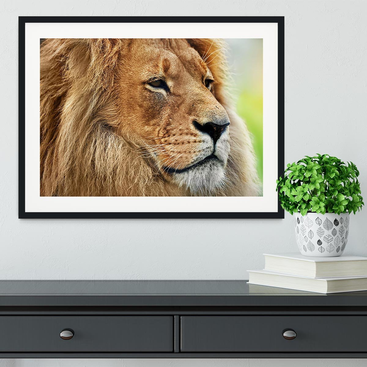 Lion portrait on savanna Framed Print - Canvas Art Rocks - 1