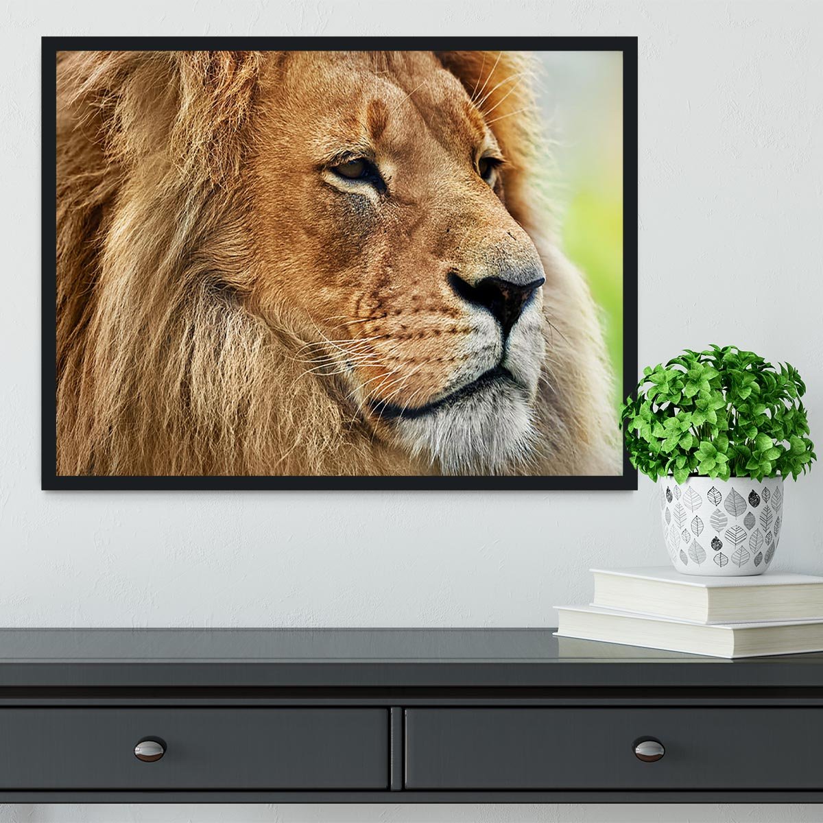Lion portrait on savanna Framed Print - Canvas Art Rocks - 2