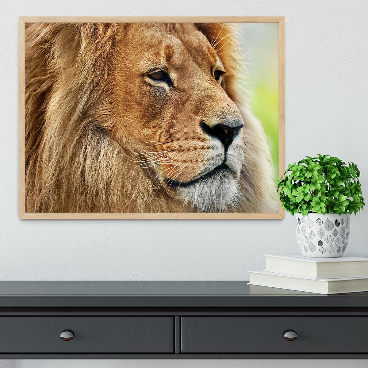 Lion portrait on savanna Framed Print - Canvas Art Rocks - 4