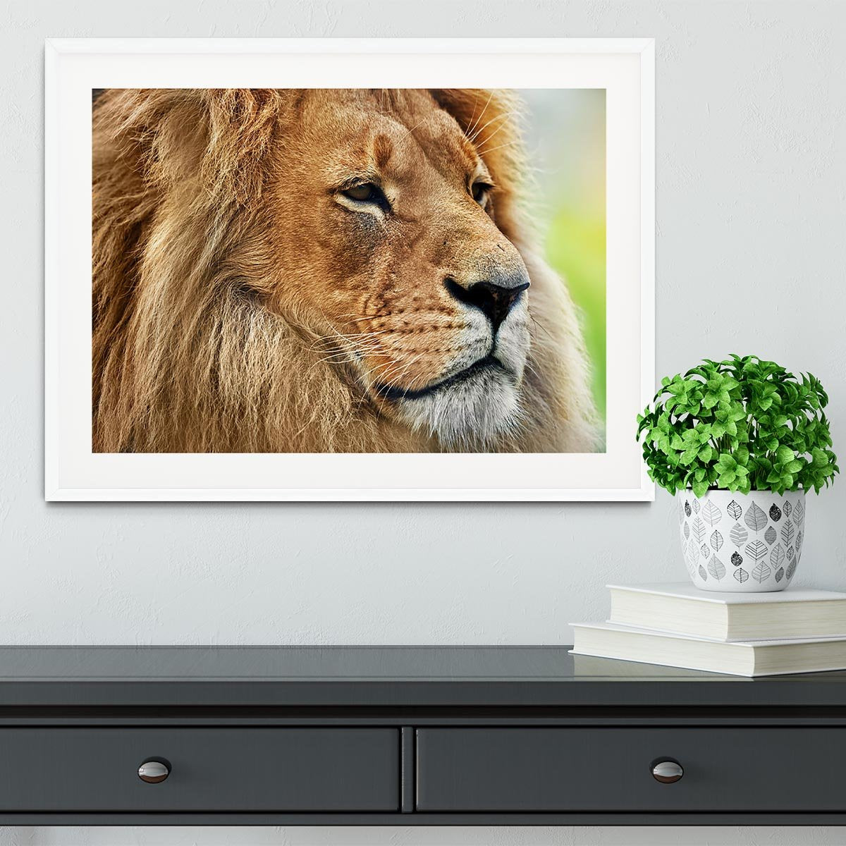 Lion portrait on savanna Framed Print - Canvas Art Rocks - 5