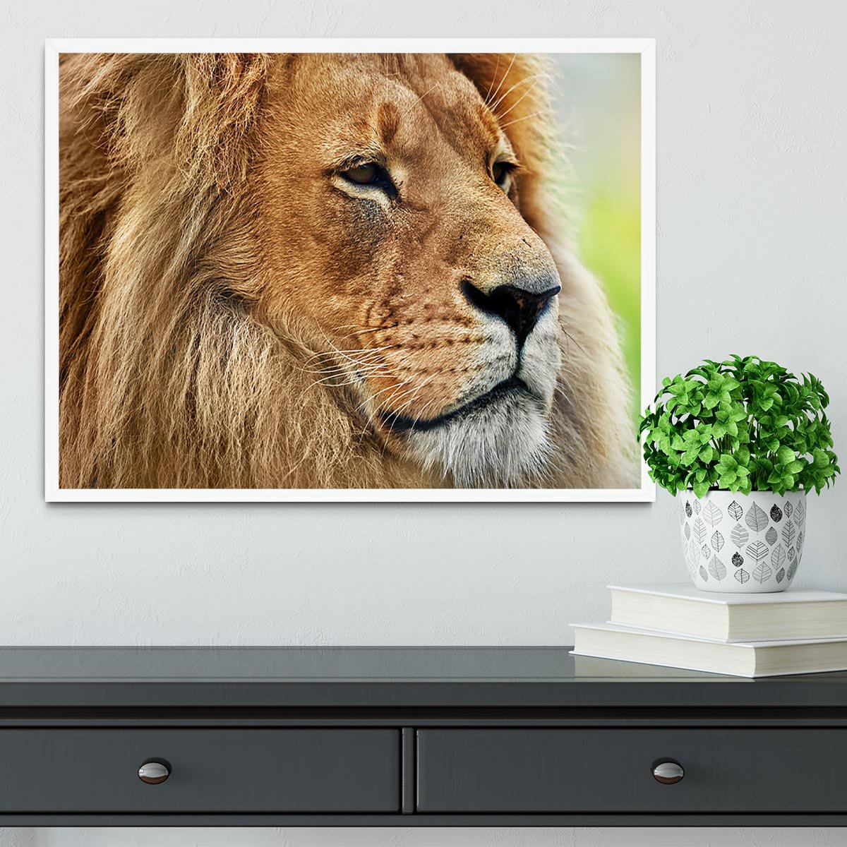 Lion portrait on savanna Framed Print - Canvas Art Rocks -6