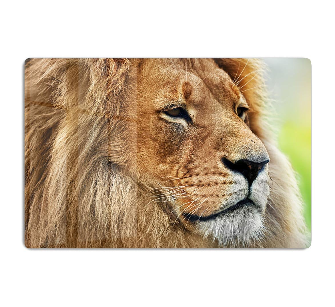 Lion portrait on savanna HD Metal Print - Canvas Art Rocks - 1
