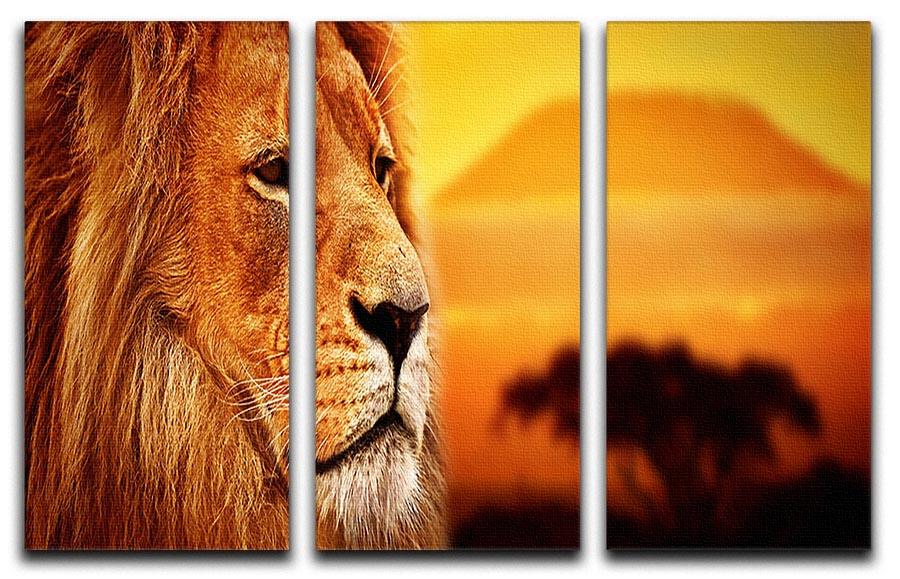 Lion portrait on savanna landscape 3 Split Panel Canvas Print - Canvas Art Rocks - 1
