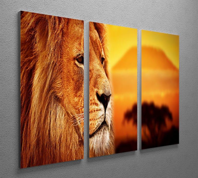 Lion portrait on savanna landscape 3 Split Panel Canvas Print - Canvas Art Rocks - 2