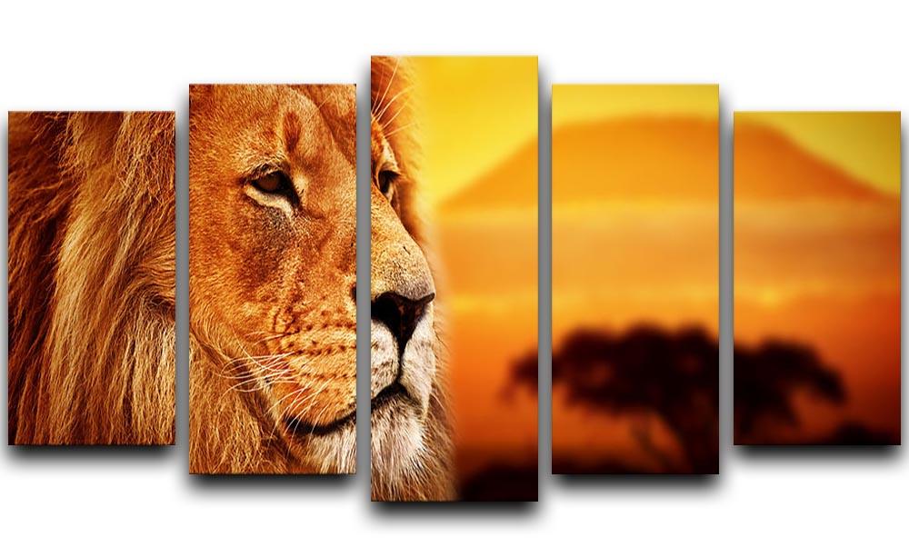 Lion portrait on savanna landscape 5 Split Panel Canvas - Canvas Art Rocks - 1