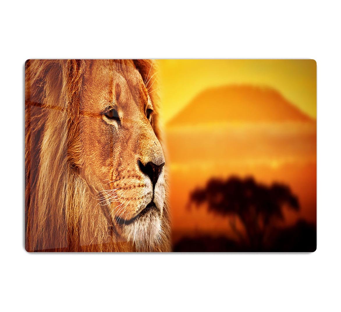 Lion portrait on savanna landscape HD Metal Print - Canvas Art Rocks - 1