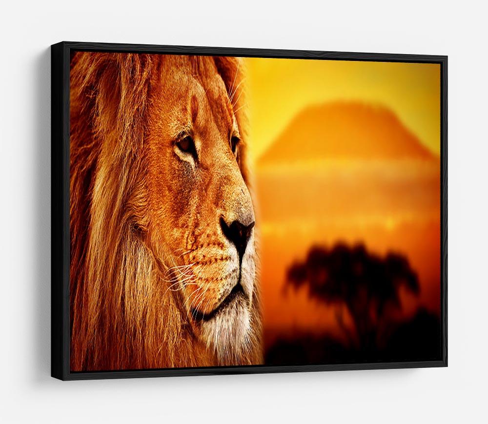 Lion portrait on savanna landscape HD Metal Print - Canvas Art Rocks - 6