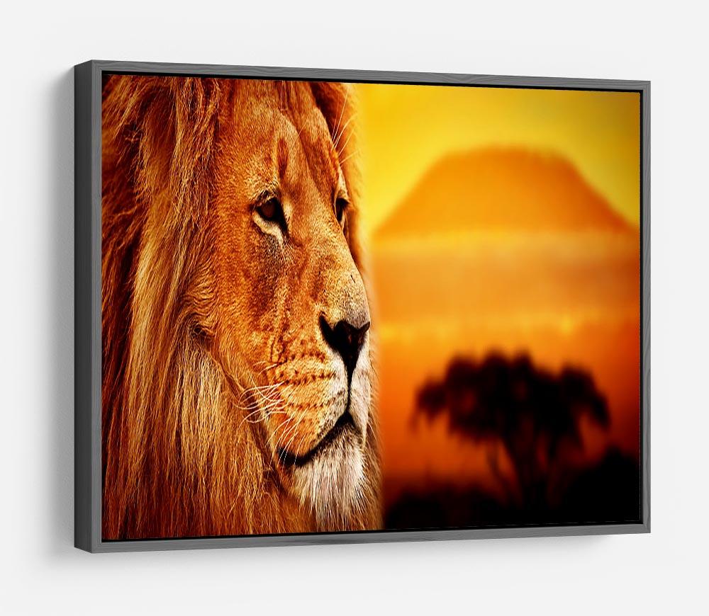 Lion portrait on savanna landscape HD Metal Print - Canvas Art Rocks - 9