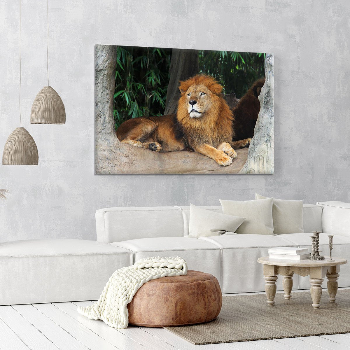 Lion resting on a tree Canvas Print or Poster