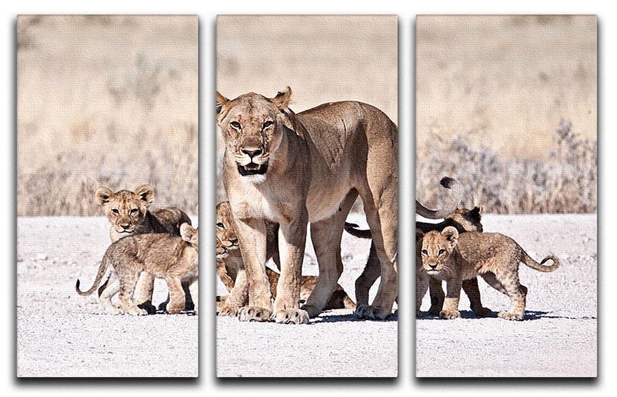 Lioness and cubs 3 Split Panel Canvas Print - Canvas Art Rocks - 1
