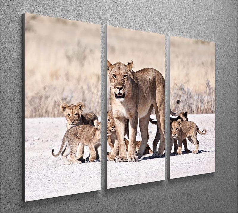 Lioness and cubs 3 Split Panel Canvas Print - Canvas Art Rocks - 2
