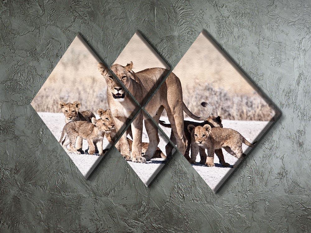Lioness and cubs 4 Square Multi Panel Canvas - Canvas Art Rocks - 2