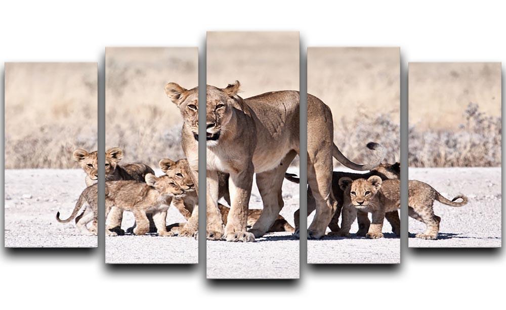 Lioness and cubs 5 Split Panel Canvas - Canvas Art Rocks - 1