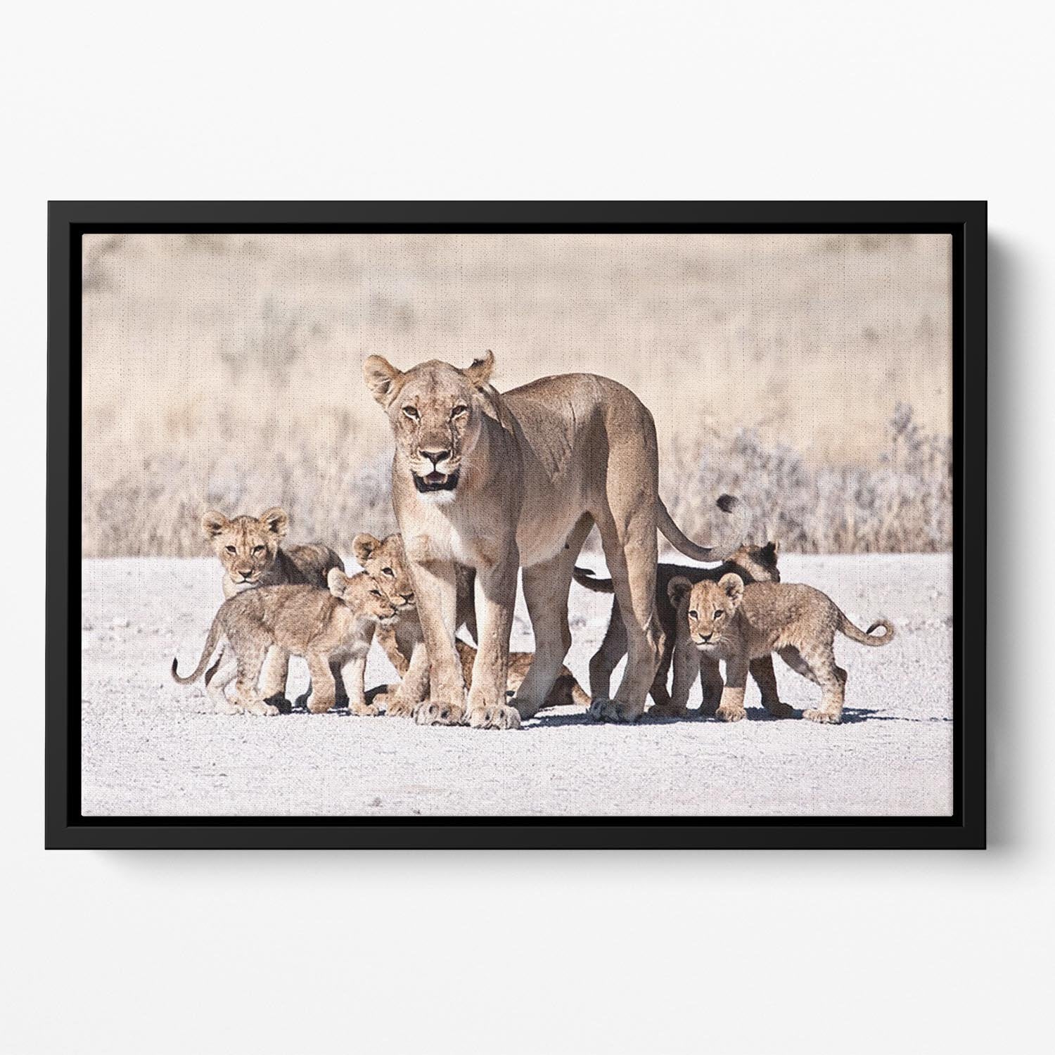 Lioness and cubs Floating Framed Canvas - Canvas Art Rocks - 2