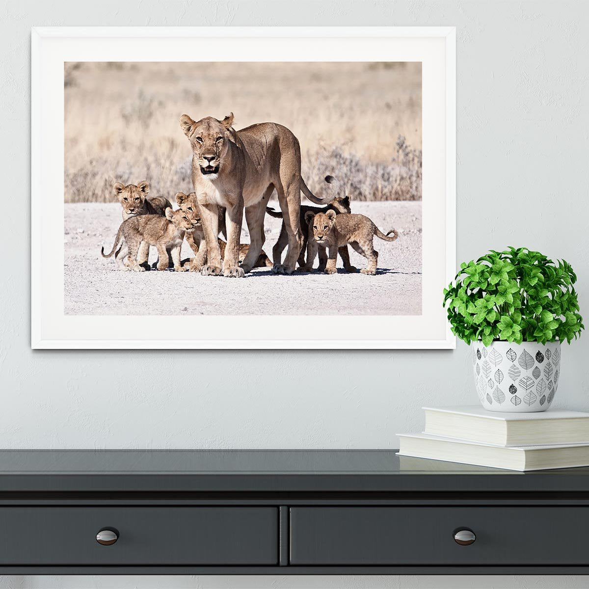 Lioness and cubs Framed Print - Canvas Art Rocks - 5