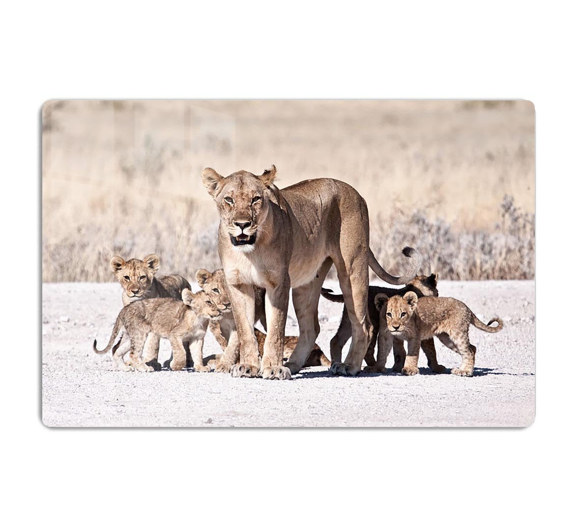 Lioness and cubs HD Metal Print - Canvas Art Rocks - 1