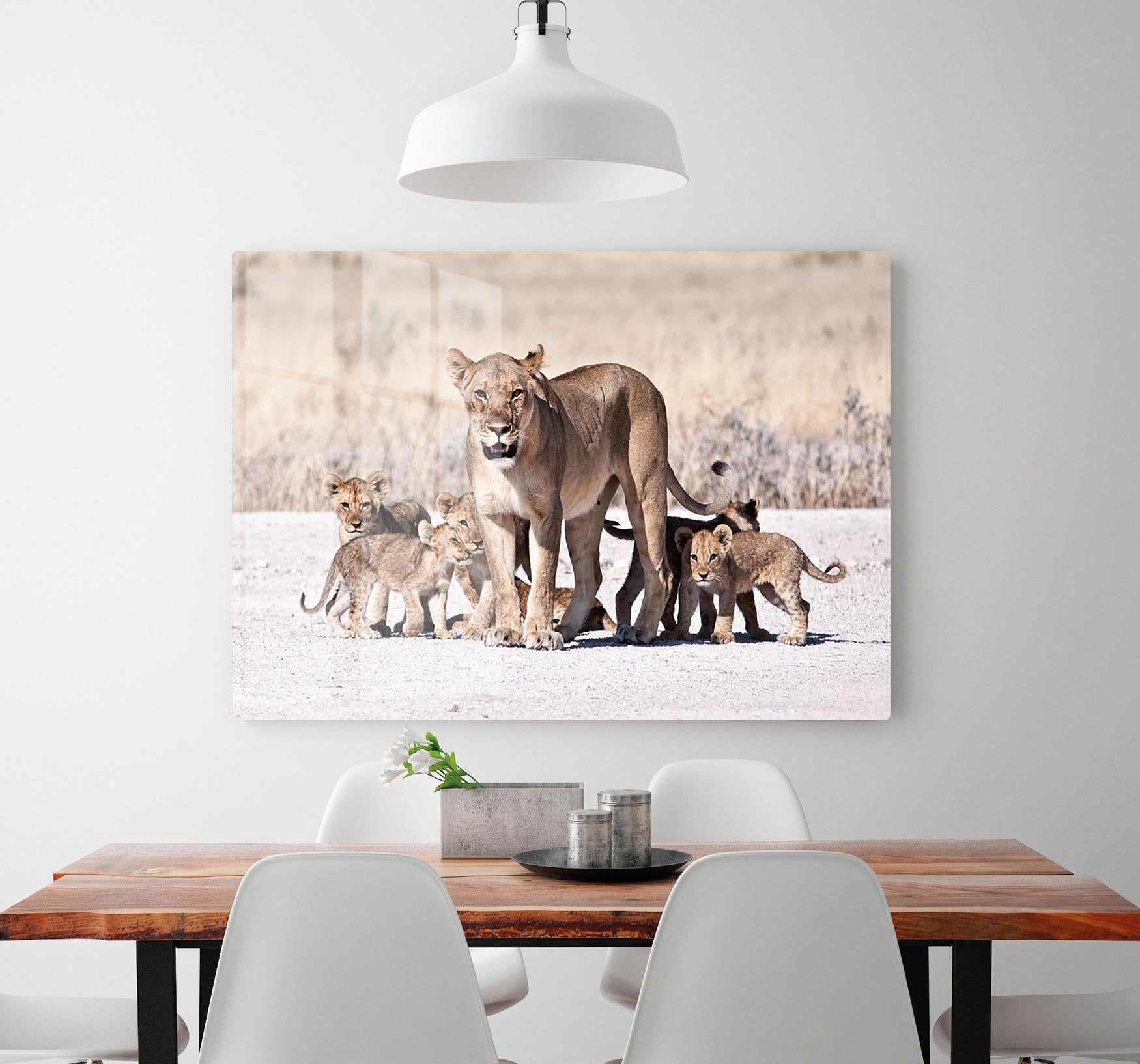 Lioness and cubs HD Metal Print - Canvas Art Rocks - 2