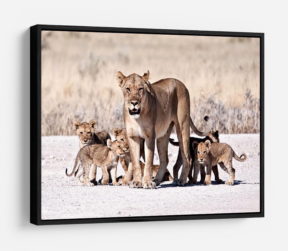 Lioness and cubs HD Metal Print - Canvas Art Rocks - 6