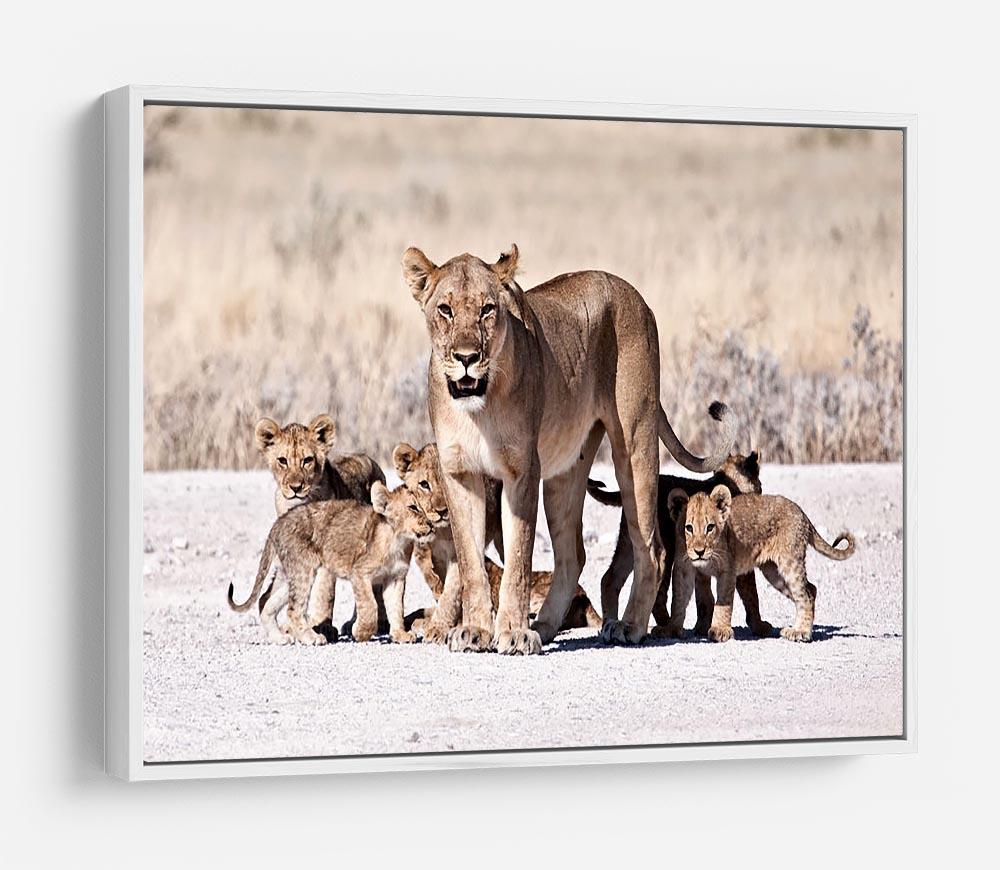 Lioness and cubs HD Metal Print - Canvas Art Rocks - 7