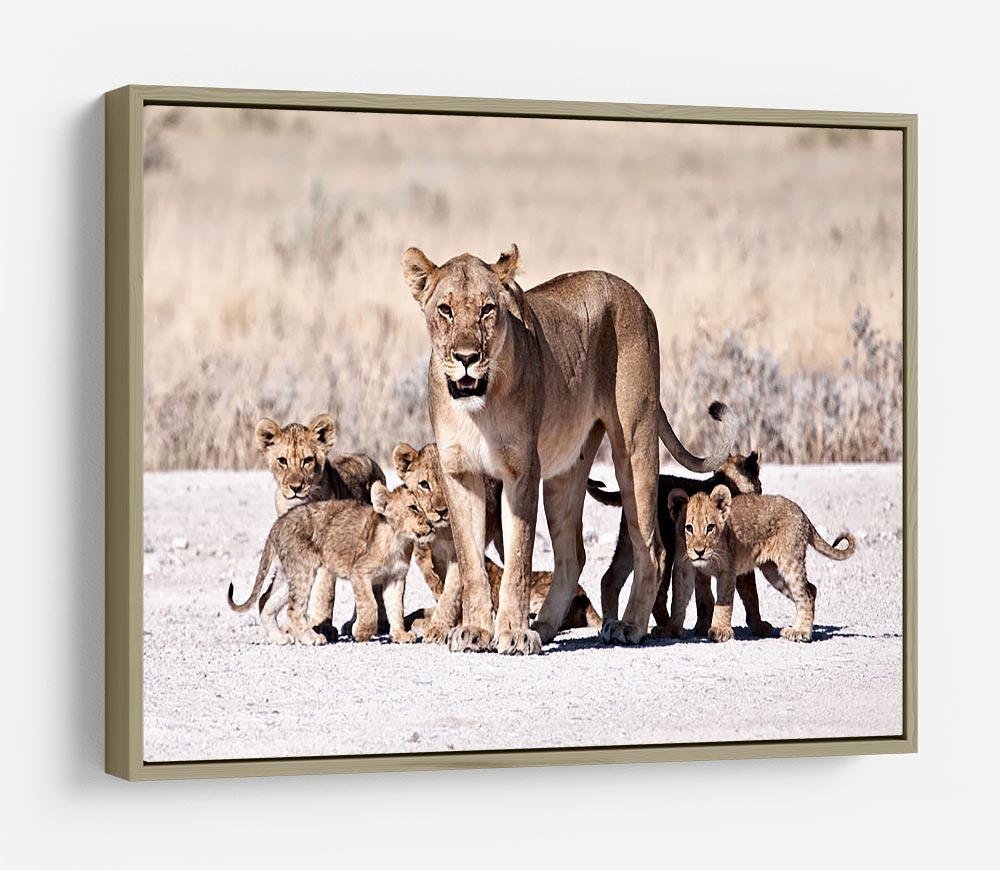 Lioness and cubs HD Metal Print - Canvas Art Rocks - 8