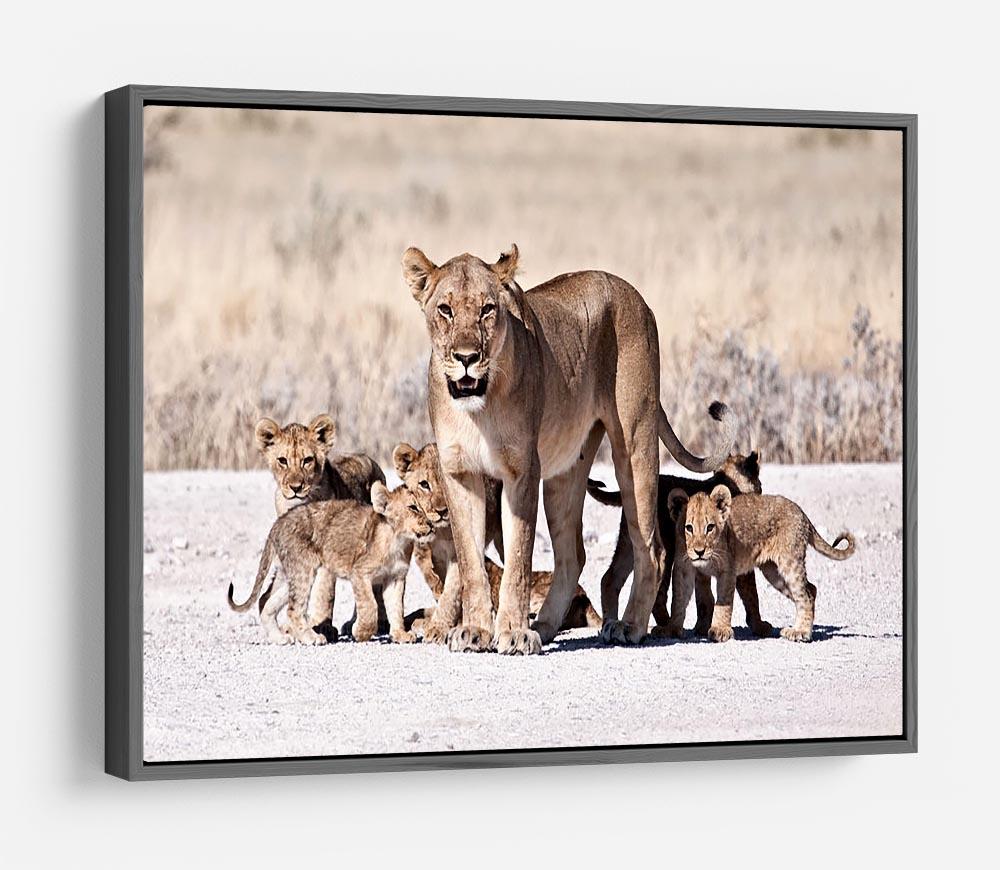 Lioness and cubs HD Metal Print - Canvas Art Rocks - 9