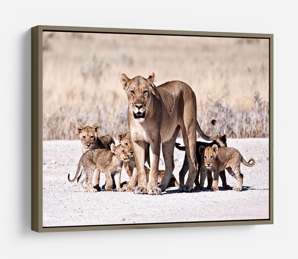 Lioness and cubs HD Metal Print - Canvas Art Rocks - 10