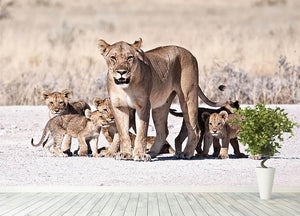 Lioness and cubs Wall Mural Wallpaper - Canvas Art Rocks - 4