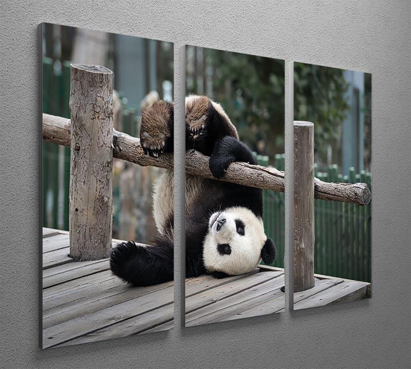 Little Panda 3 Split Panel Canvas Print - Canvas Art Rocks - 2