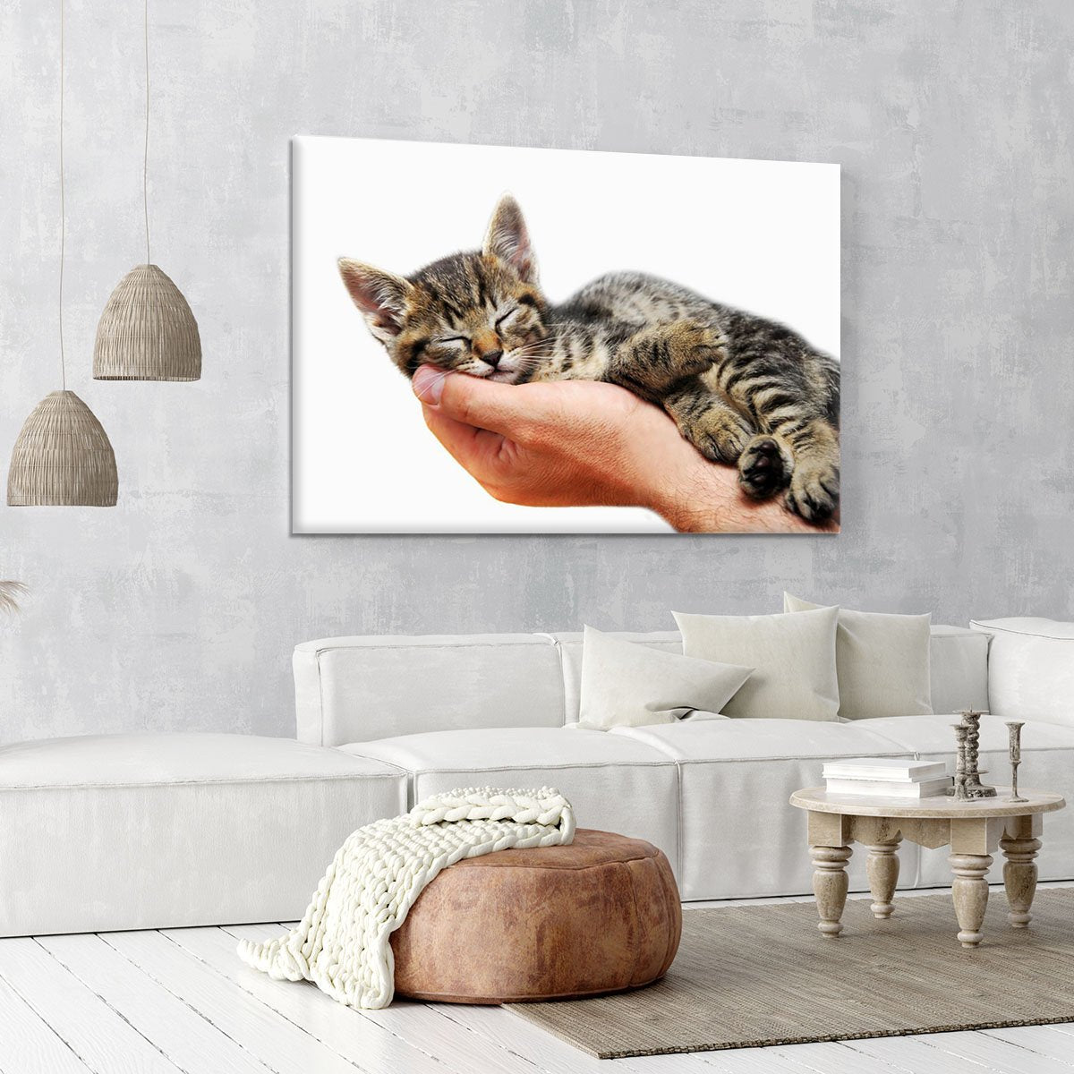 Little baby cat sleeping in male arms Canvas Print or Poster